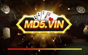 MD5 được bảo vệ và cấp phép bởi các tổ chức uy tín trên thị trường